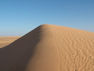 Banc d Arguin 062 - Dune - Mauritanie