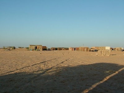 Banc d Arguin 088 - Ten Alloul - Mauritanie