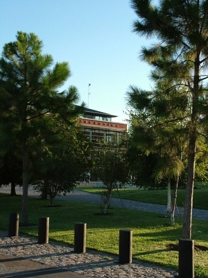 Buenos Aires 001 - Universite arbres - Argentine