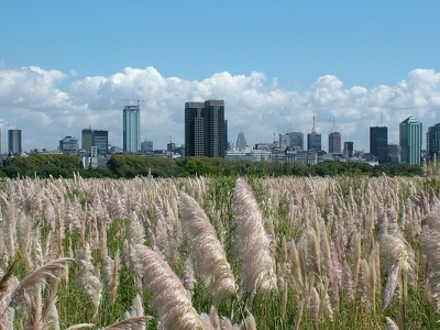 Buenos Aires 027 - Vue parc ecologique - Argentine