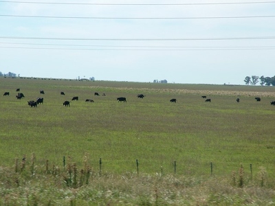 Mar del Platta 011 - Trajet Pampa - Argentine