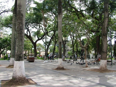 Santa Cruz 003 - Plaza cathedrale - Bolivie