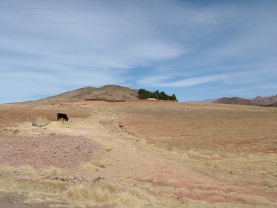 Voyage Sucre-Potosi 013 - Champs avec ane - Bolivie