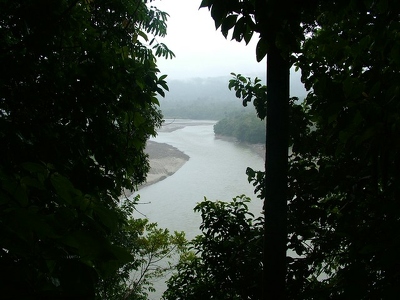 Amazonie 090 - Rio et jungle - Equateur