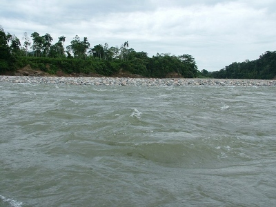 Amazonie 138 - Rio - Equateur