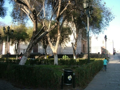 Arequipa 011 - Parc - Perou