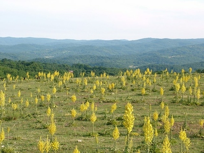 Bulgarie 005 - Paysage