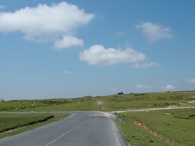 Bulgarie 014 - Paysage moutons