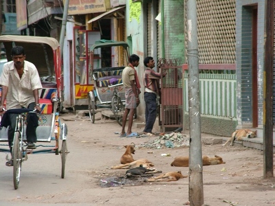 Benares Varanasi 348 - Rue - Inde