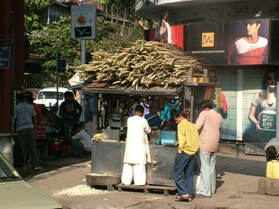 Bombay 020 - Vendeur de cannes a sucre - Inde
