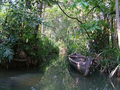 Backwaters 028 - Barque dans canal - Inde