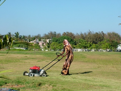 Mamallapuram 055 - Femme tond la pelouse - Inde