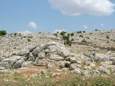 St Simeon 124 - Paysage - Syrie