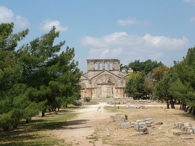 St Simeon 155 - Basilique et arbre - Syrie