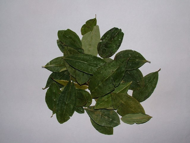 La_Paz_007_-_Feuilles_de_coca_-_Bolivie.jpg