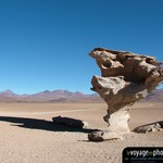 Fond-ecran-Salar d'uyuni Arbol de piedra