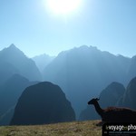 Fond-ecran-Perou-Machu picchu lama regarde vall