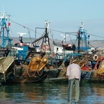 Larache 019 - Bateaux Larache - Maroc