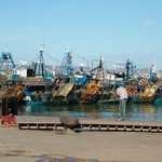 Larache 018 - port Larache - Maroc