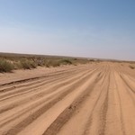 Banc d'Arguin 412 - Traces voiture dans desert - Mauritanie