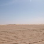 Banc d'Arguin 442 - Desert - Mauritanie