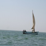 Banc d'Arguin 150 - Bateau pecheurs - Mauritanie