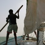 Oiseaux Banc d'Arguin - 338 - Bateau - Mauritanie