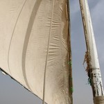 Oiseaux Banc d'Arguin - 373 - Mousse et voile - Mauritanie