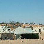 Rosso 074 - Trajet depuis NouakChott Tente - Mauritanie