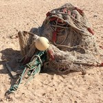 Banc d'Arguin 140 - Filets - Mauritanie