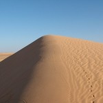 Banc d'Arguin 062 - Dune - Mauritanie