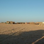 Banc d'Arguin 088 - Ten Alloul - Mauritanie