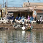 Saint Louis 005 - Quai - Senegal