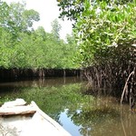 Badoudou 186 - Pirogue - Senegal