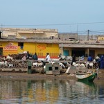 Saint Louis 003 - Quai - Senegal