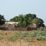 Badoudou 131 - Village - Senegal