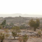 Mopti 045 - Savane - Mali