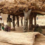 Pays Dogon Kani Kombole 128 - Togouna avec enfants - Mali