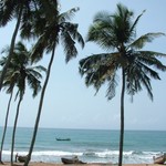 Cape Coast 018 - Plage palmiers et pirogues - Ghana