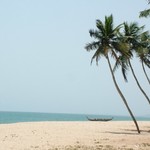 Cape Coast 005 - Plage palmiers pirogue - Ghana