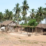 Cape Coast 061 - Village pecheurs - Ghana