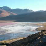 Salar d'uyuni 238 - Lagune colorada - Bolivie