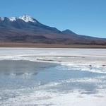 Salar d'uyuni 207 - Flamants roses et lagunes - Bolivie