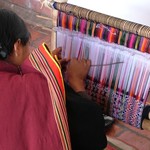 Sucre 016 - Tisseuses - Bolivie