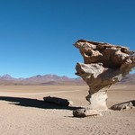 Salar d'uyuni 229 - Arbol de piedra - Bolivie