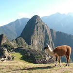 Machu picchu d'en haut 131 - Perou