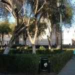 Arequipa 011 - Parc - Perou