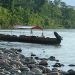 Amazonie 155 - Barque - Equateur