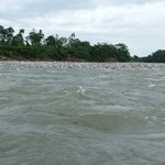 Amazonie 138 - Rio - Equateur