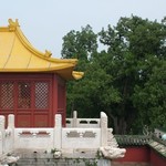 Pekin Temple du ciel 040 - Batiment et arbre - Chine